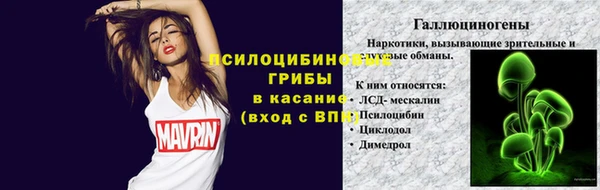 альфа пвп Новодвинск