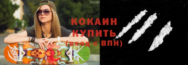 альфа пвп Новодвинск