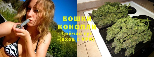 альфа пвп Новодвинск