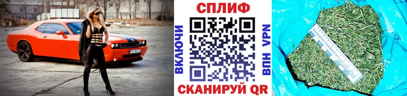 Каннабис сатива  darknet Telegram  Алупка 